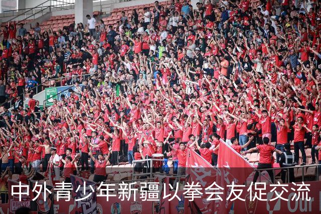 中外青少年新疆以拳会友促交流