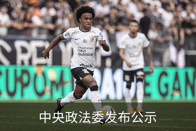 中央政法委发布公示