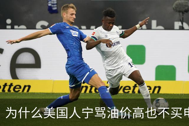 为什么美国人宁骂油价高也不买电动车？