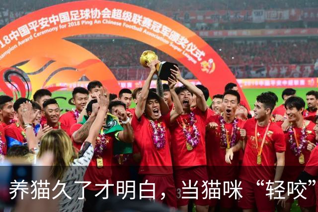 养猫久了才明白，当猫咪“轻咬”你，不是和你玩，而是在给你信号