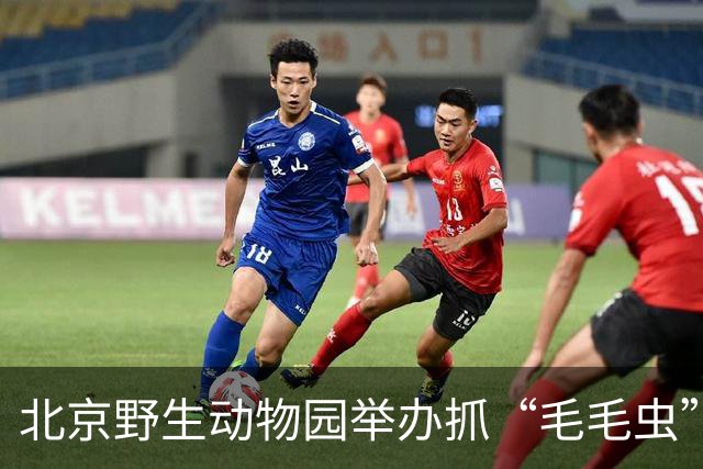 北京野生动物园举办抓“毛毛虫”大赛，两天抓了21斤、7万条