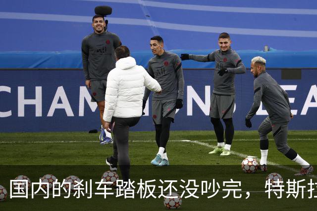国内的刹车踏板还没吵完，特斯拉已经飞上天了！