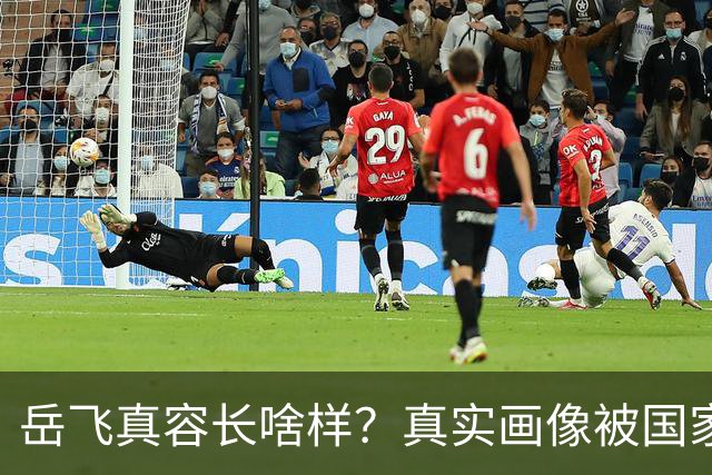 岳飞真容长啥样？真实画像被国家博物馆珍藏至今，原来岳飞长这样