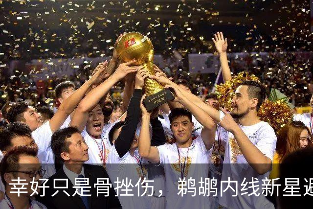 幸好只是骨挫伤，鹈鹕内线新星避免了重大伤病的发生？