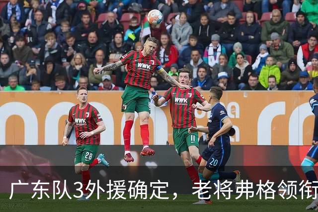 广东队3外援确定，老将弗格领衔，新赛季阵容存在明显短板