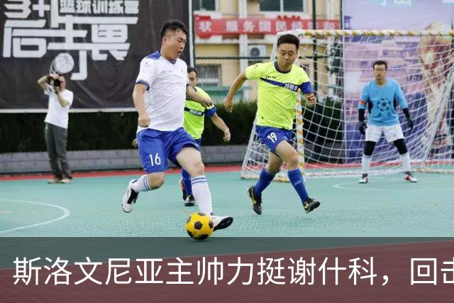 斯洛文尼亚主帅力挺谢什科，回击鲁尼嘲讽