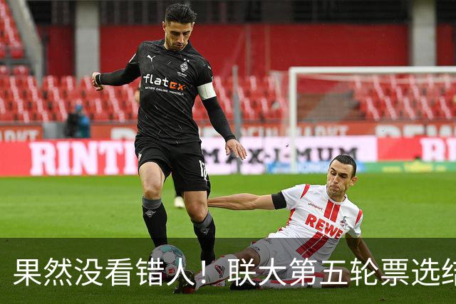 果然没看错人！联大第五轮票选结果出，中国力挺的候选人冲到第一