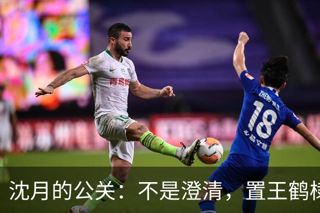 沈月的公关：不是澄清，置王鹤棣于绝境！