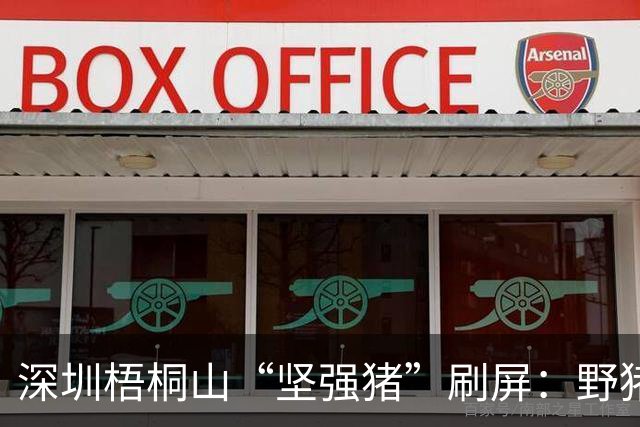 深圳梧桐山“坚强猪”刷屏：野猪颈部重伤，几乎“断头”