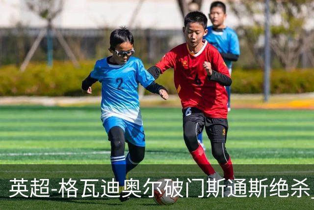 英超-格瓦迪奥尔破门斯通斯绝杀 曼城2-1狼队