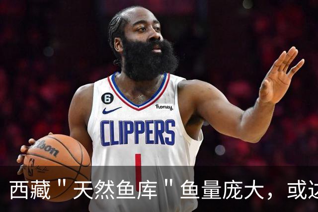 西藏＂天然鱼库＂鱼量庞大，或达2亿公斤？为何人们不进行打捞？