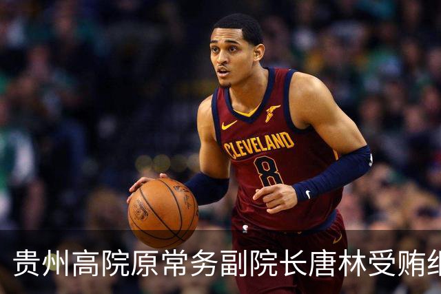 贵州高院原常务副院长唐林受贿细节曝光：一份“电冰箱市场调查报告”值330万