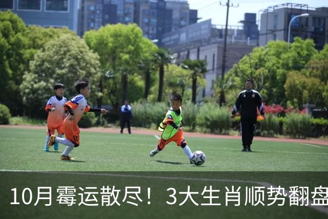 10月霉运散尽！3大生肖顺势翻盘，财运稳步抬升，收获满满