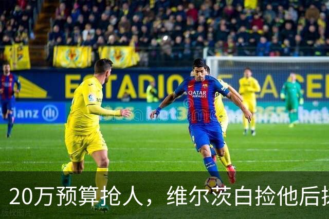 20万预算抢人，维尔茨白捡他后搓手：太顶了