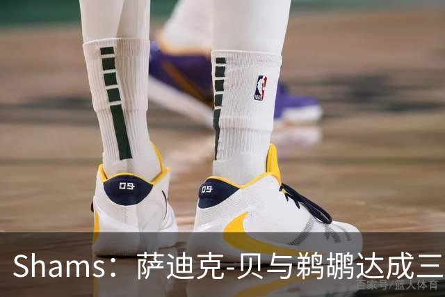 Shams：萨迪克-贝与鹈鹕达成三年5550万美元续约合同
